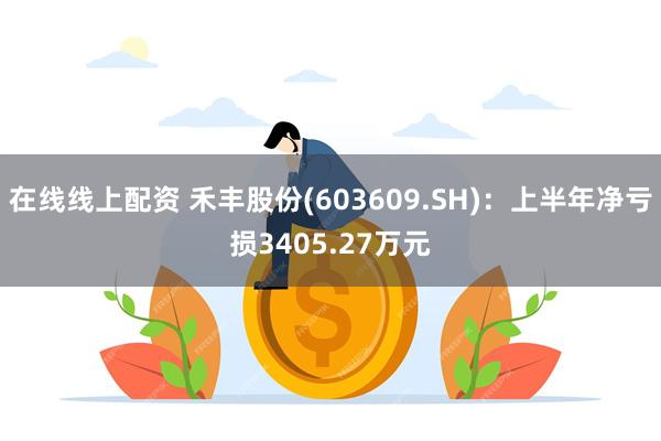 在线线上配资 禾丰股份(603609.SH)：上半年净亏损3405.27万元