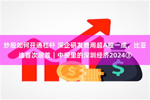 炒股如何开通杠杆 深企研发费用超A股一成，比亚迪首次居首｜中报里的深圳经济2024③