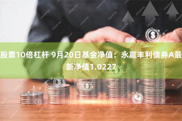 股票10倍杠杆 9月20日基金净值：永赢丰利债券A最新净值1.0227