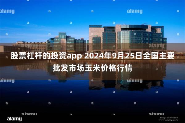 股票杠杆的投资app 2024年9月25日全国主要批发市场玉米价格行情