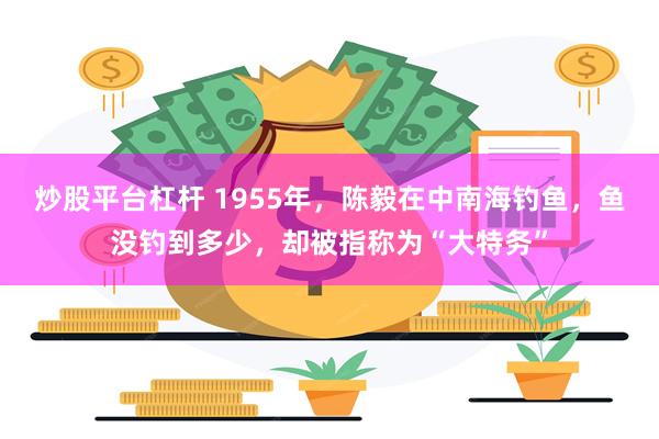 炒股平台杠杆 1955年，陈毅在中南海钓鱼，鱼没钓到多少，却被指称为“大特务”