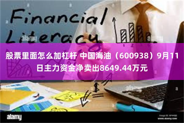 股票里面怎么加杠杆 中国海油（600938）9月11日主力资金净卖出8649.44万元