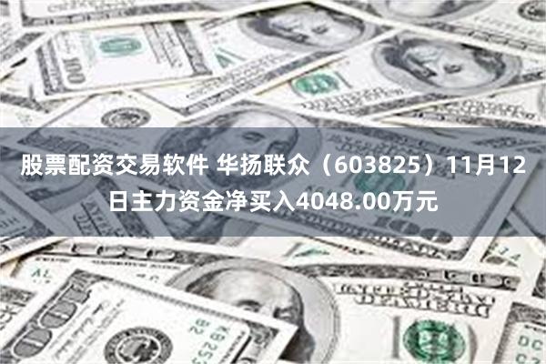 股票配资交易软件 华扬联众（603825）11月12日主力资金净买入4048.00万元