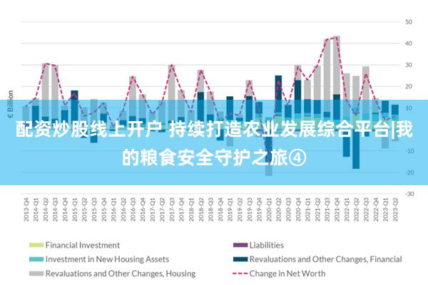 配资炒股线上开户 持续打造农业发展综合平台|我的粮食安全守护之旅④