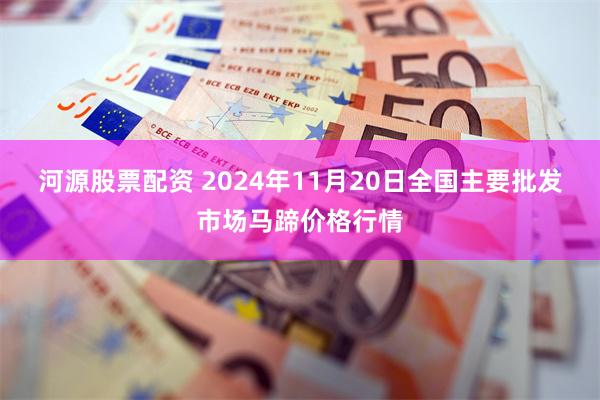 河源股票配资 2024年11月20日全国主要批发市场马蹄价格行情