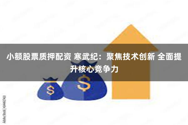 小额股票质押配资 寒武纪：聚焦技术创新 全面提升核心竞争力